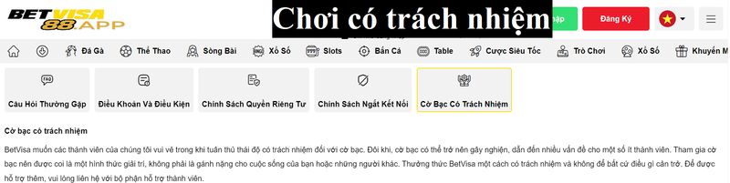 Giới thiệu đôi chút về việc chơi có trách nhiệm tại betvisa